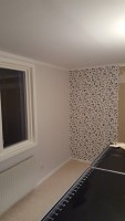 /album/bildgaleri/a20161113-163431-jpg/